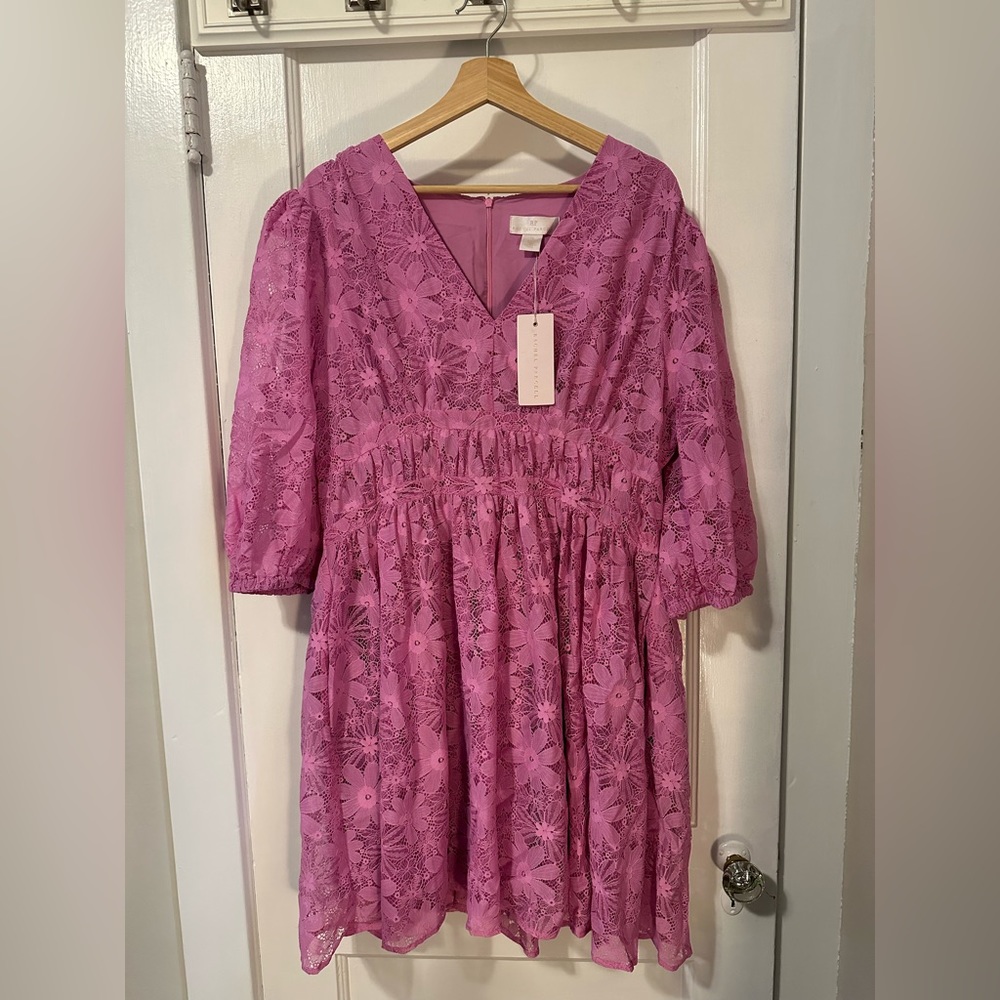 Rachel Parcell Long Sleeve Fit & flare Dress - Orchid. New with tags! Size 16